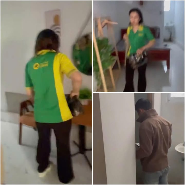 công tyy báchh hoáá xanh