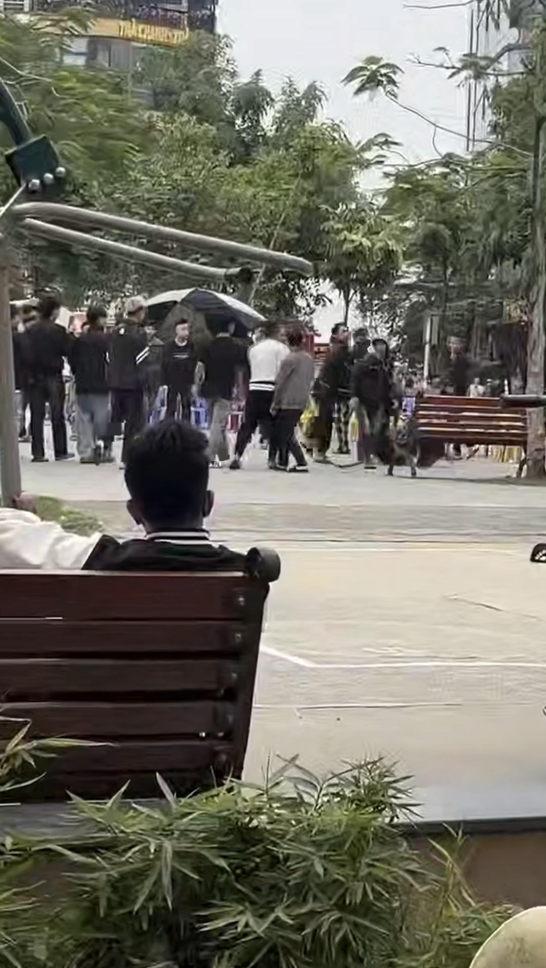 Làng Bắc Bling Nơi Được Quan Tâm Nhất Lúc Này