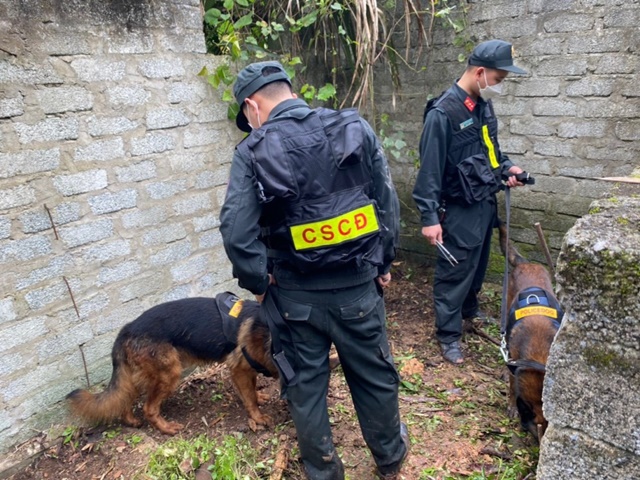 Công an dùng 4 chó nghiệp vụ cùng 2 xe múc xới đất, phát hiện chấn động dưới lòng đất