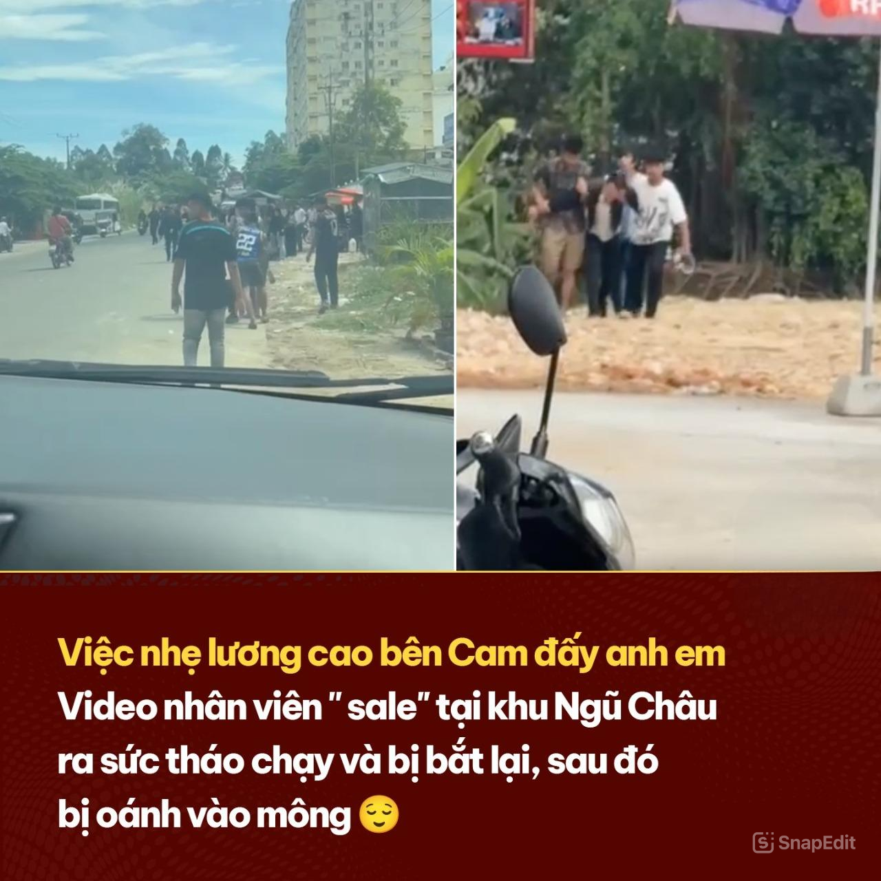 Việc nhẹ lương cao bên Cam