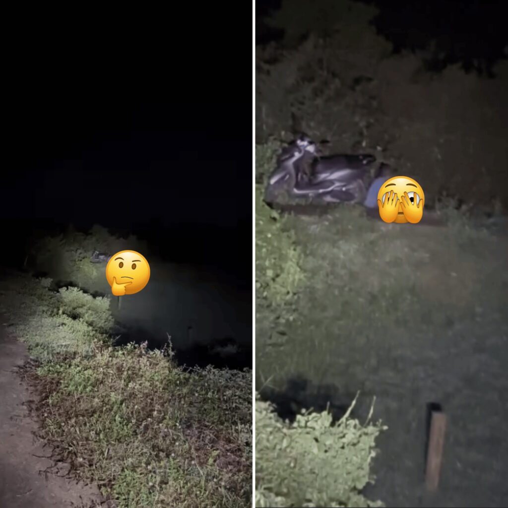 [VIDEO] Các cụ ch/iến quá !!