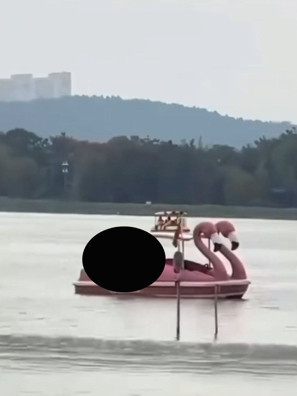 VIDEO TOÀN CẢNH SỰ VIỆC dap vit kieu moi