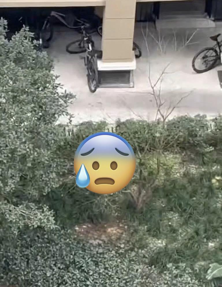 VJDEO TOÀN CẢNH SỰ VIỆC cân nhắc khi xem