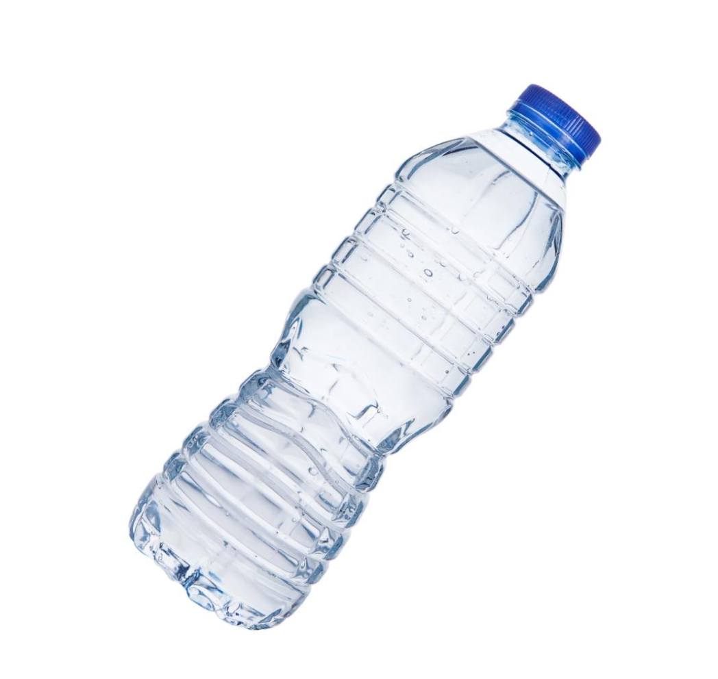 Chem chép nào còn nữa