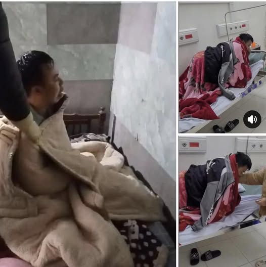 Chủ quan khi bị ch;ó cắn không tiêm phòng và sự tr;ả gi;á đ;ắt