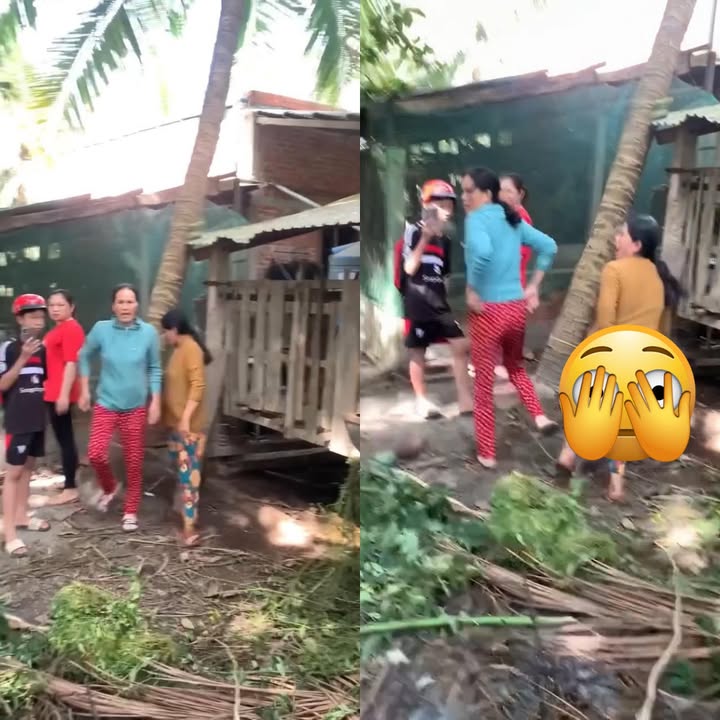 Vjdeo Hàng xóm tranh giành đất đai, kh/\oe hết cả h/\àng họ ra.