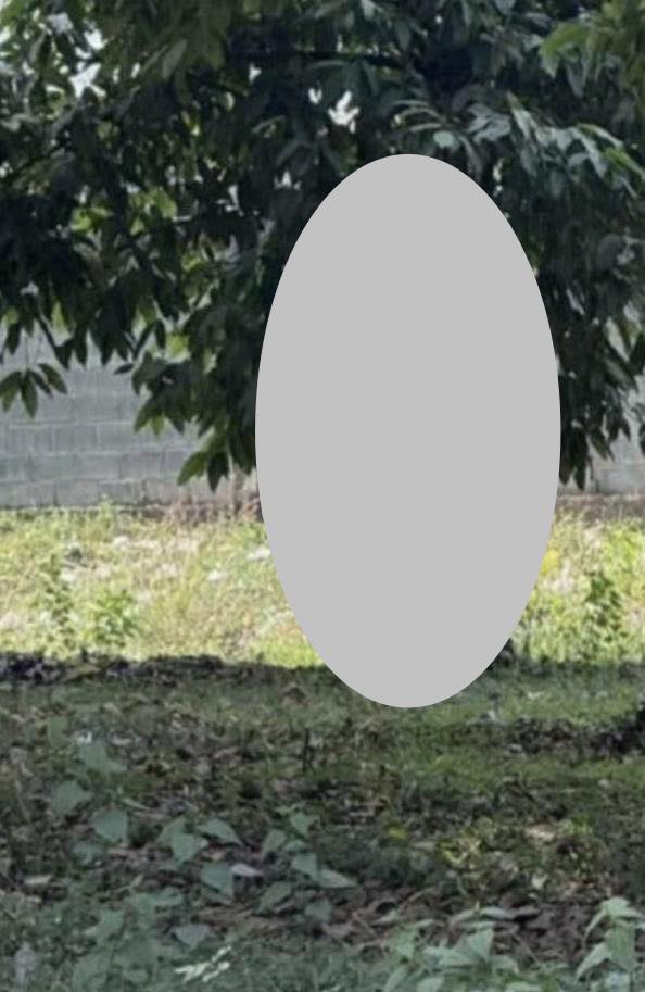 VIDEO TOÀN CẢNH SỰ VIỆC – Yếυ тim đ;ừng x;em