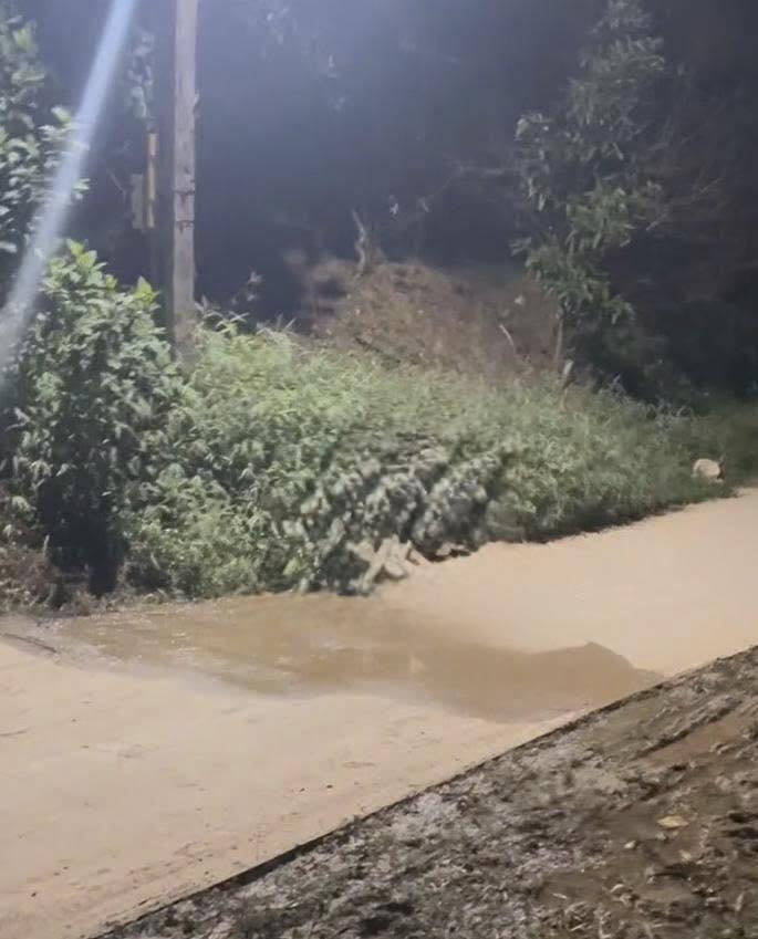 VIDEO TOÀN CẢNH VỤ VIỆC