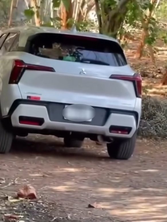 Chiếc xe oto h;ot nhất lúc này, r;ung l;ắc d;ữ d;ội – Cân nhắc khi xem