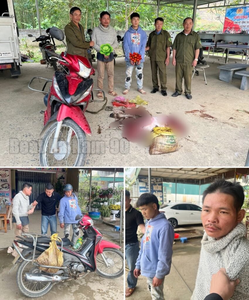 Công an xã Thanh Phong, Thanh Hóa điều tra tạm giữ 2 đối tượng trộm cắp trâu của người dân khi cọc trên đồi