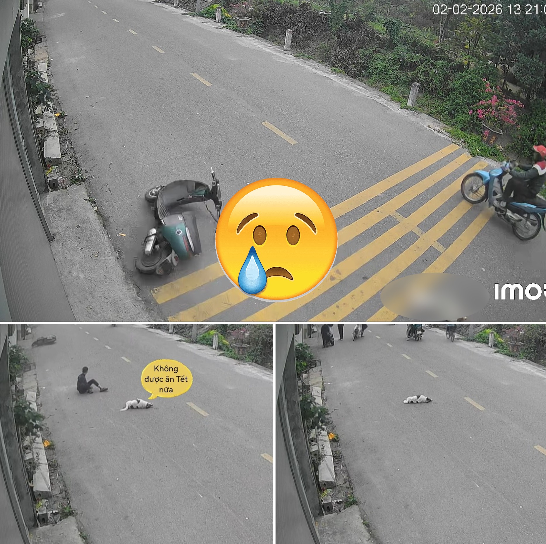 Trích xuất camera hành trình ghi lại cảnh k:inh h:oàng, chú ch:ó nam im thinthit