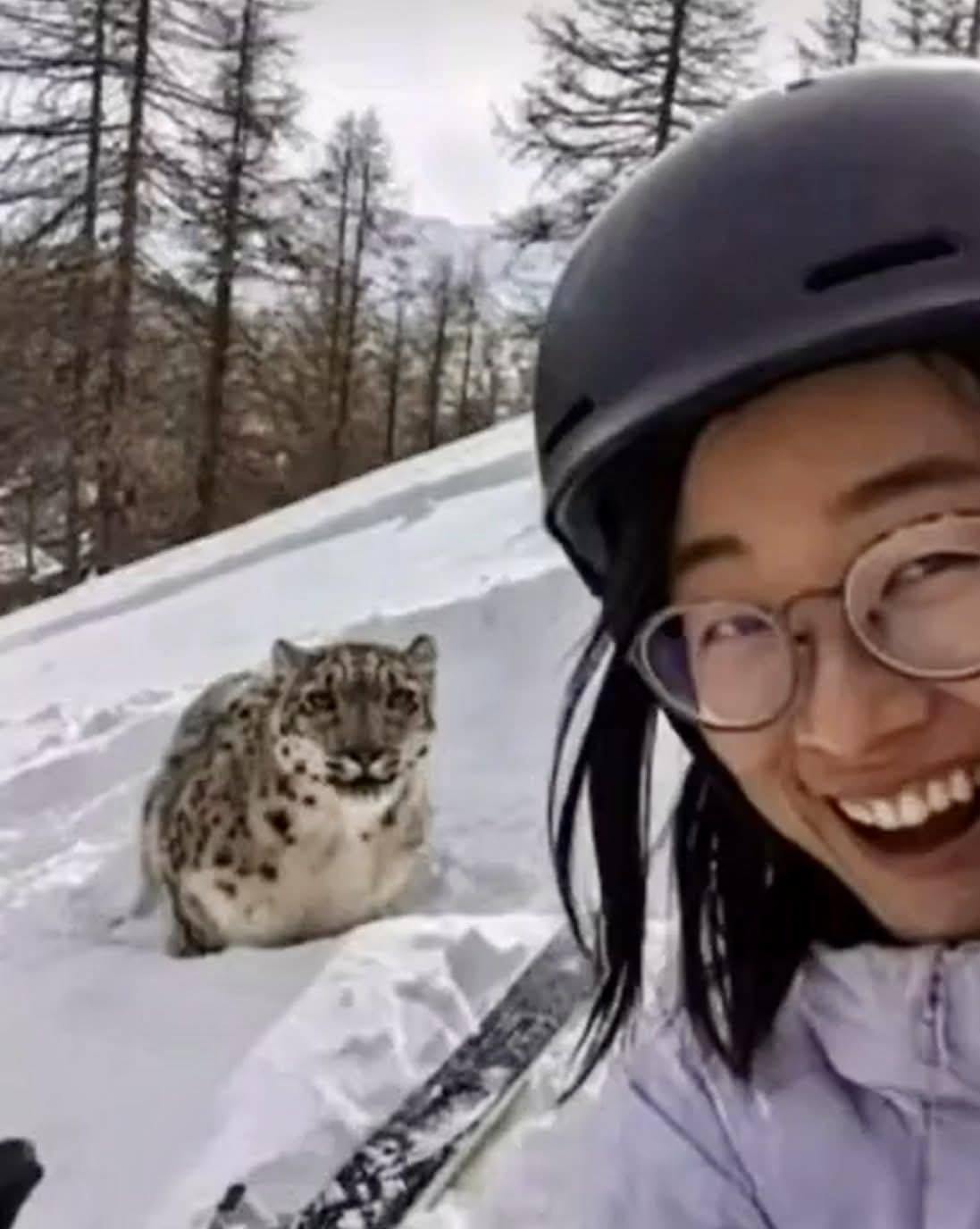 Cô gái chụp ảnh với báo tuyết chỉ vài giây trước khi ….