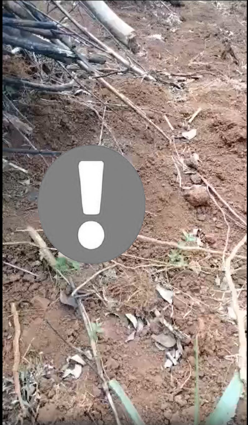 Phát hiện 1 trẻ sơ sinh b/ị b/ỏ r/ơi tại khu vực….