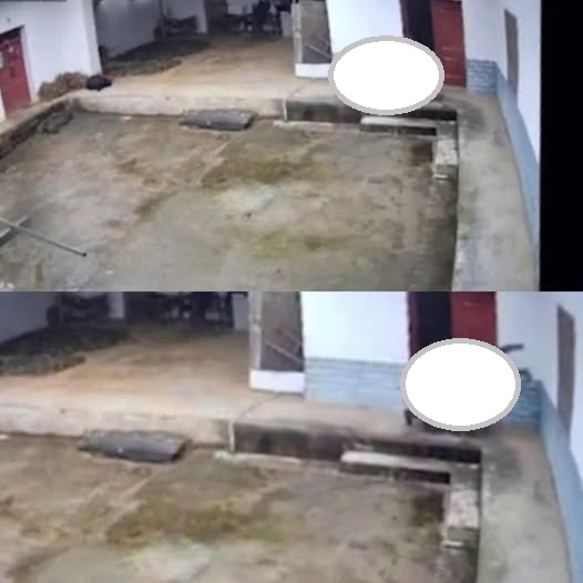 VIDEO TOÀN CẢNH SỰ VIỆC L/ỢN RỪNG VÀO NHÀ