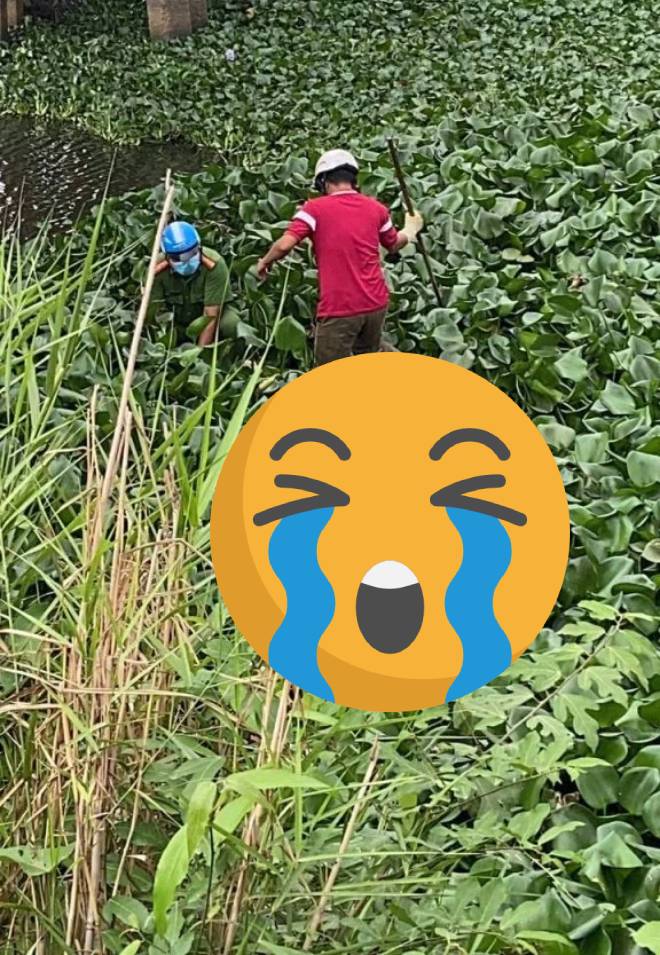 vjdeo chi tiết sự việc tại long an cũ