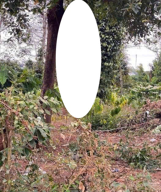 Đắk Lắk:Nơi lạnh nhất lúc này,cân nhắc khi xem