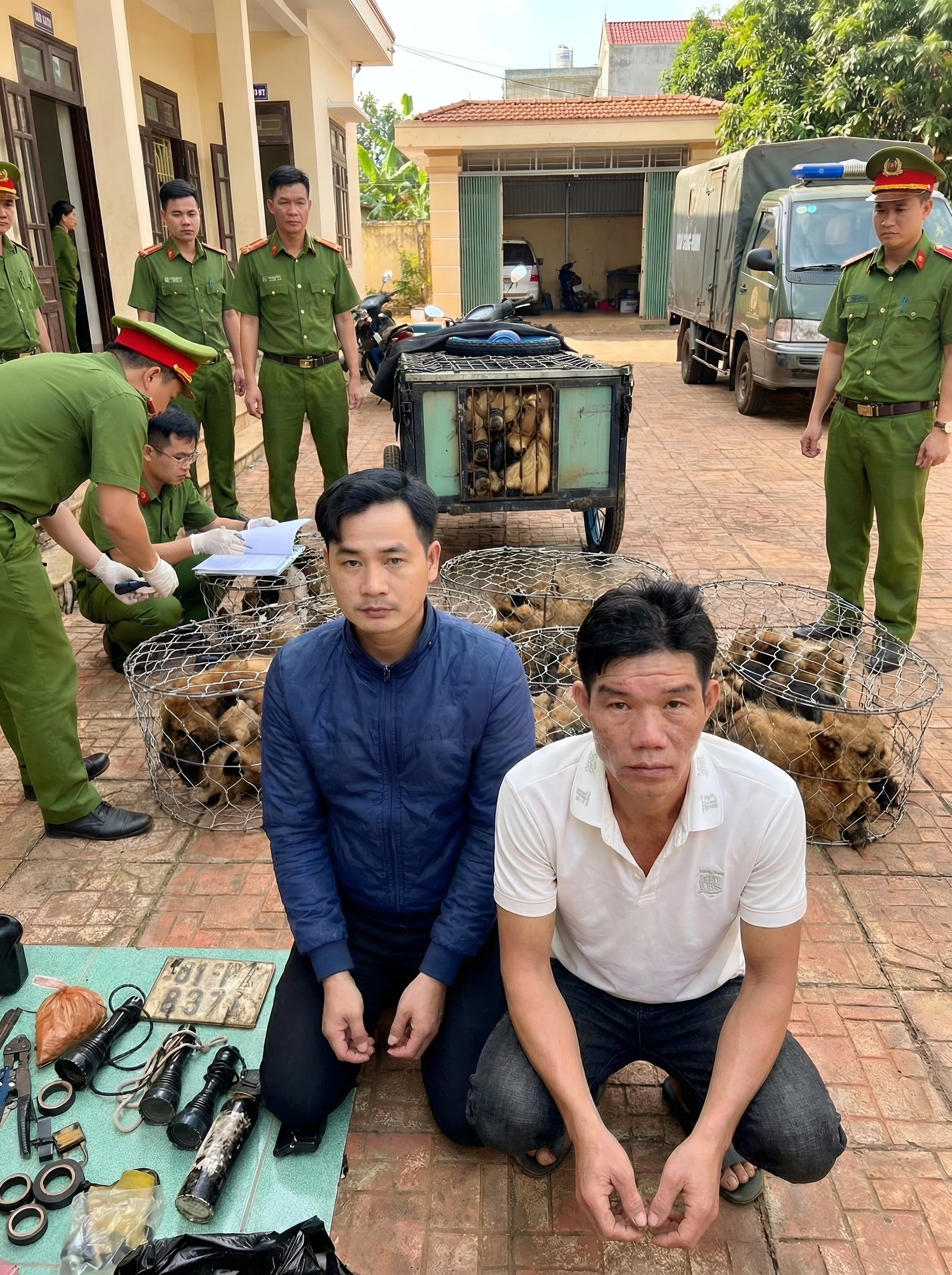 Triệt Xóa băng TRỘM CHÓ liên tỉnh manh động, đã t.r.ộ.m hơn 5.000 con chó từ năm 2025 đến nay