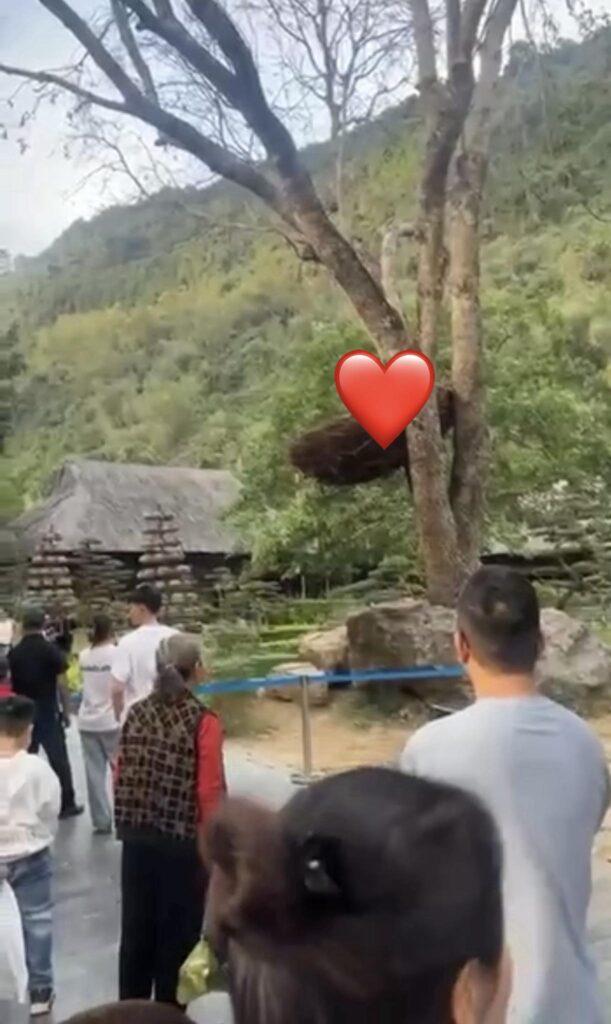 Vjdeo sự việc ở ninh bình khiến CĐM ngạc nhiên