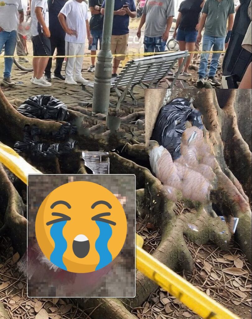 Xuất hiện video g:ây s:ốc về vụ người đàn ông b:ị lấy c:ấp th:ủ t_Cân nhắc khi xem