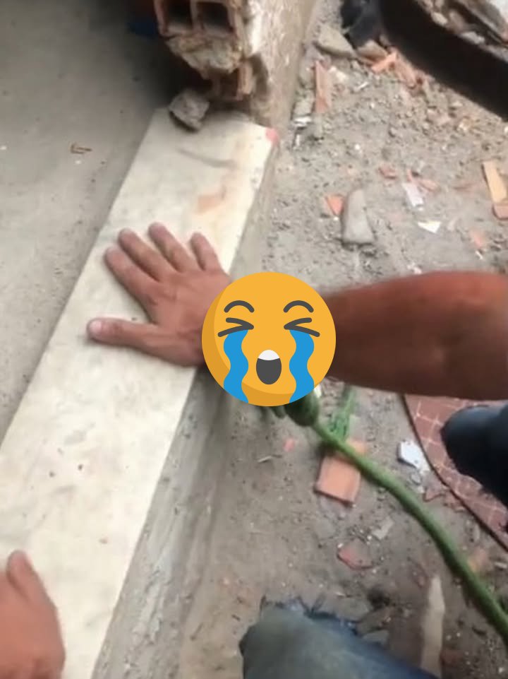 Vid Lan truyền ghi lại cảnh….