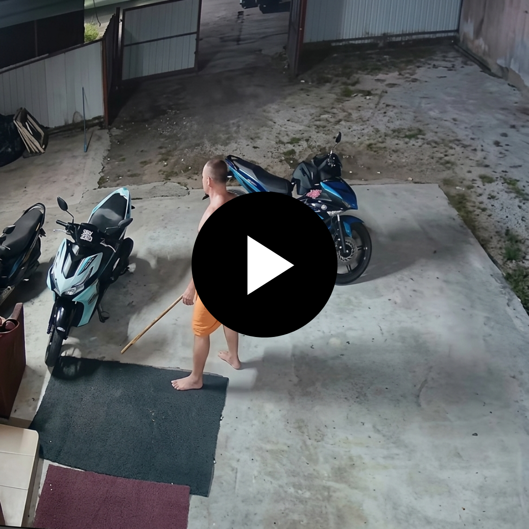 Thanh Niên c/ầm G/ậy tôn ngộ không Định Làm Hảo Hản ai ngờ gặp c;áo ch;ồn