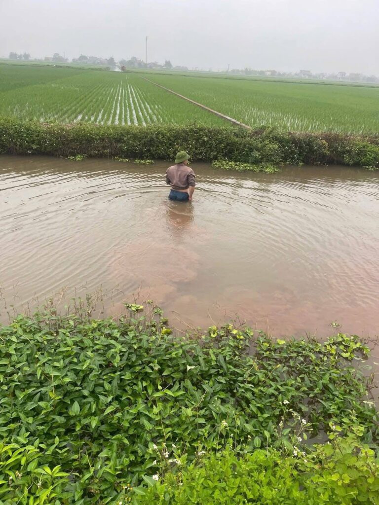 Th0ng tjn nam shiper