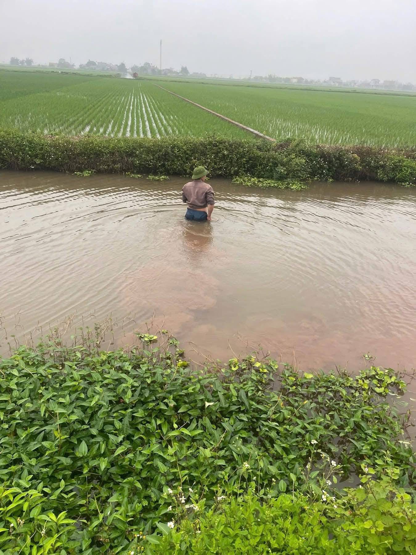 Th0ng tjn nam shiper