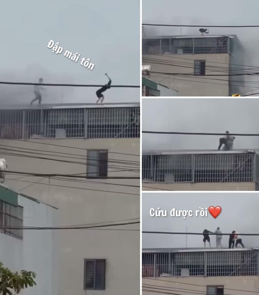 vjde0 thanh niên cứu người