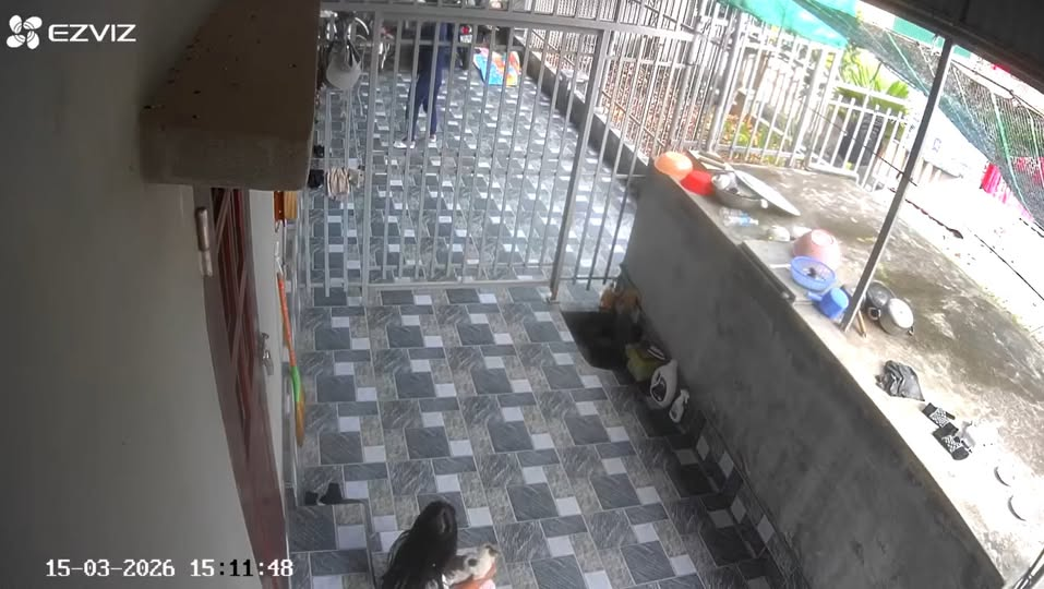 Chi tiết sự việc – Ng ck vừa….