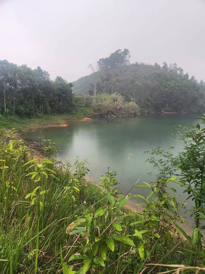 6 em học sinh cùng nhau ra đ/ập chơi, 2 em nữ sinh lớp 7 ra đi mãi mãi tại đ/ập Ngòi lầy Phúc Thịnh Âu Lâu