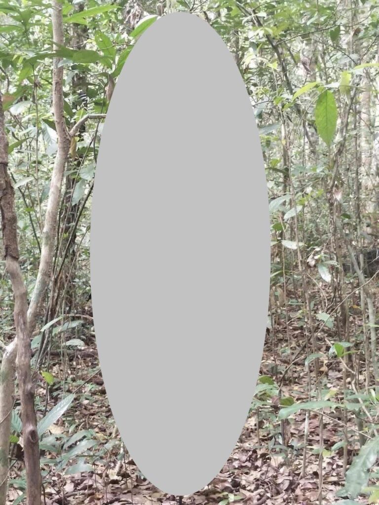 chi tiết sự việc tại Phú Quốc, Kiên Giang lúc này