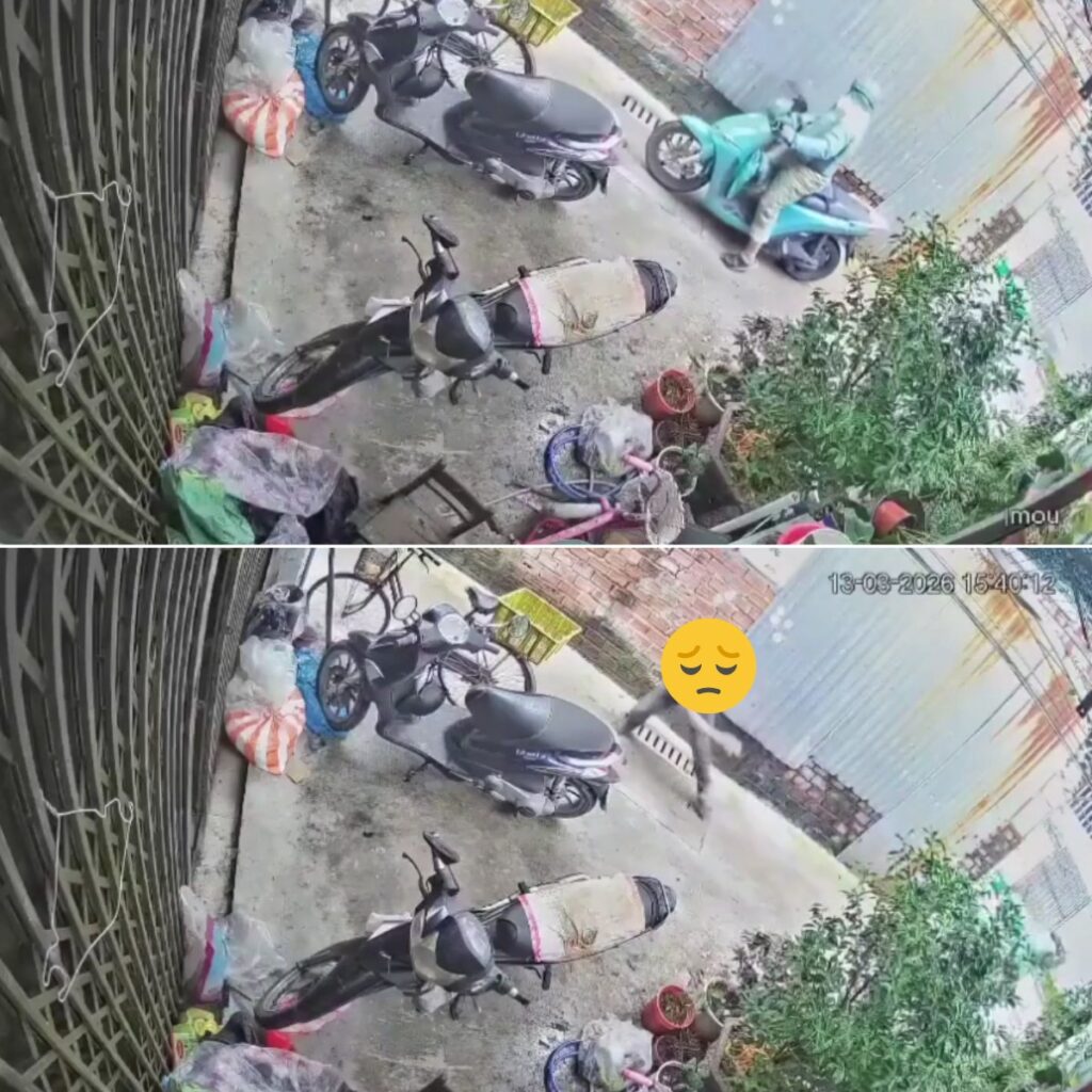 Vid – Vụ việc shipper