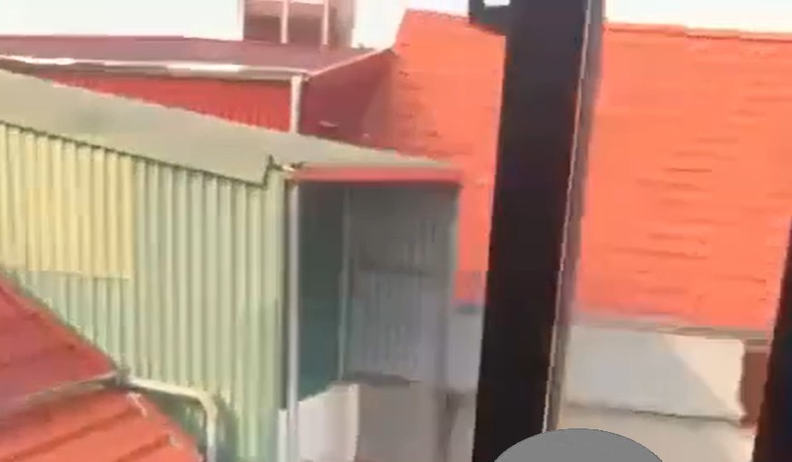 đúng là tuổi trẻ tài cao