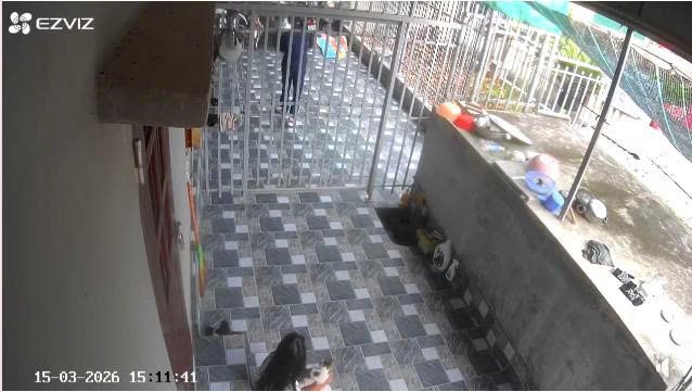 [VIDEO] Cam vu việc chồng sang tìm vợ ở nhà anh ruột của vợ tại Thái Bình