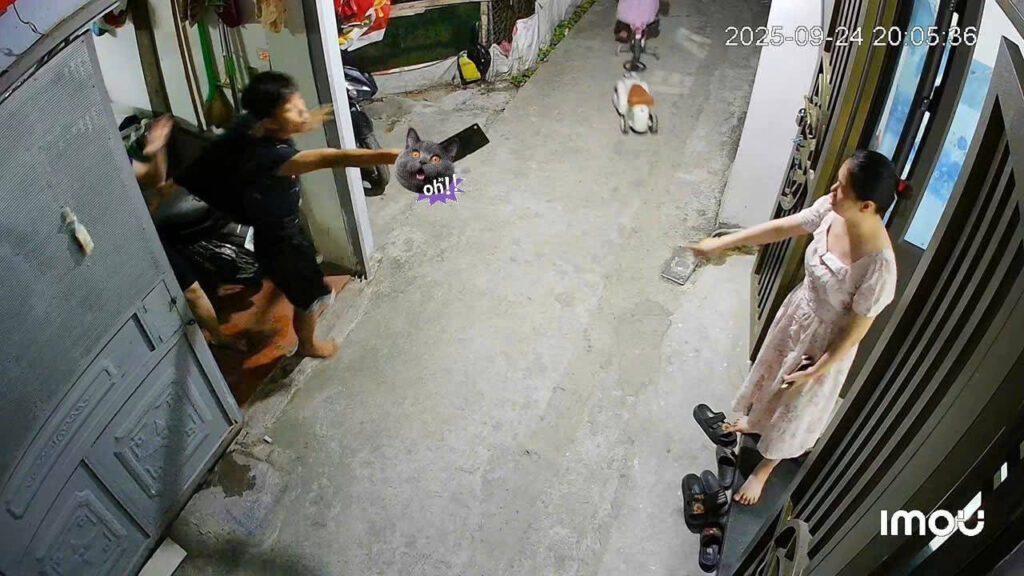 Vid – Vụ việc tại Phú Lương, Hà Đông, Hà Nội