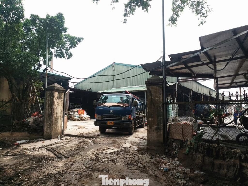 Vụ 300 tấn lợn bệnh tuồn vào bếp ăn trường học: Cán bộ kiểm dịch “ra giá” thế nào?