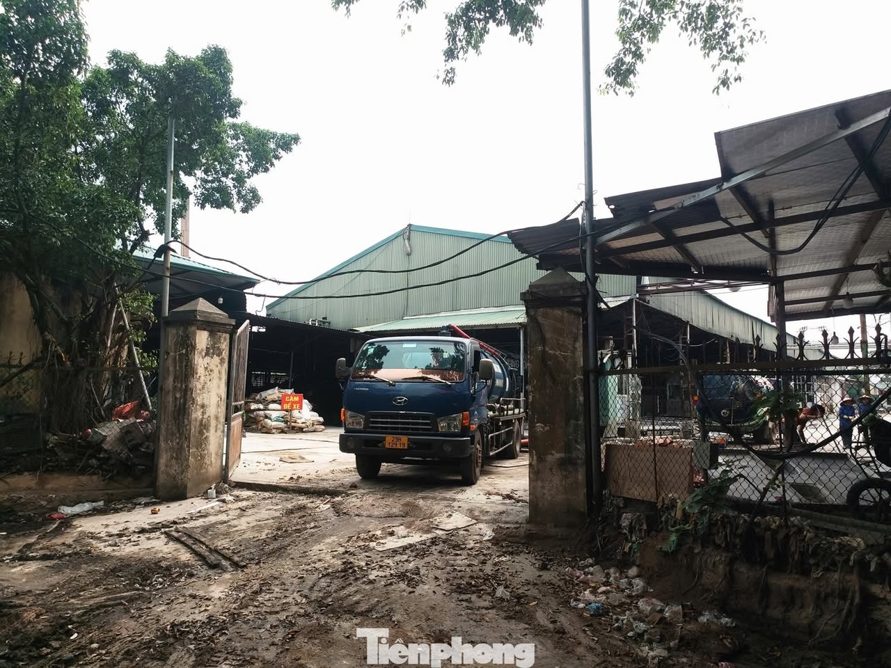 Vụ 300 tấn lợn bệnh tuồn vào bếp ăn trường học: Cán bộ kiểm dịch “ra giá” thế nào?