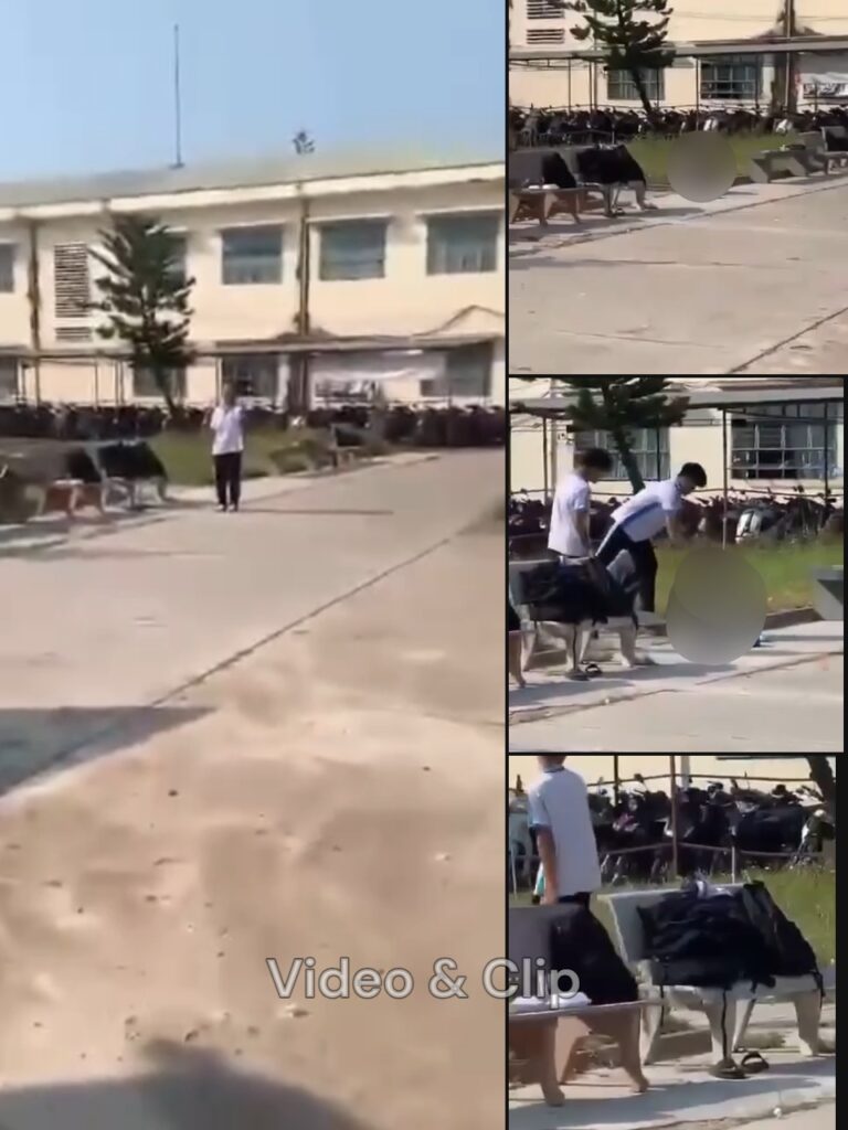 Toàn cảnh sự việc BLHĐ NG/HIÊM TR/ỌNG Ở GIA LAI‼️‼️