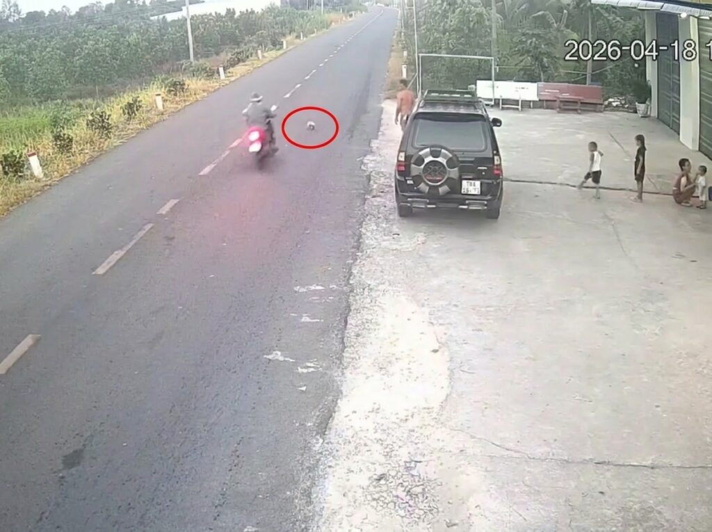 toàn cảnh sự việc quả bóng lăn ở vĩnh long