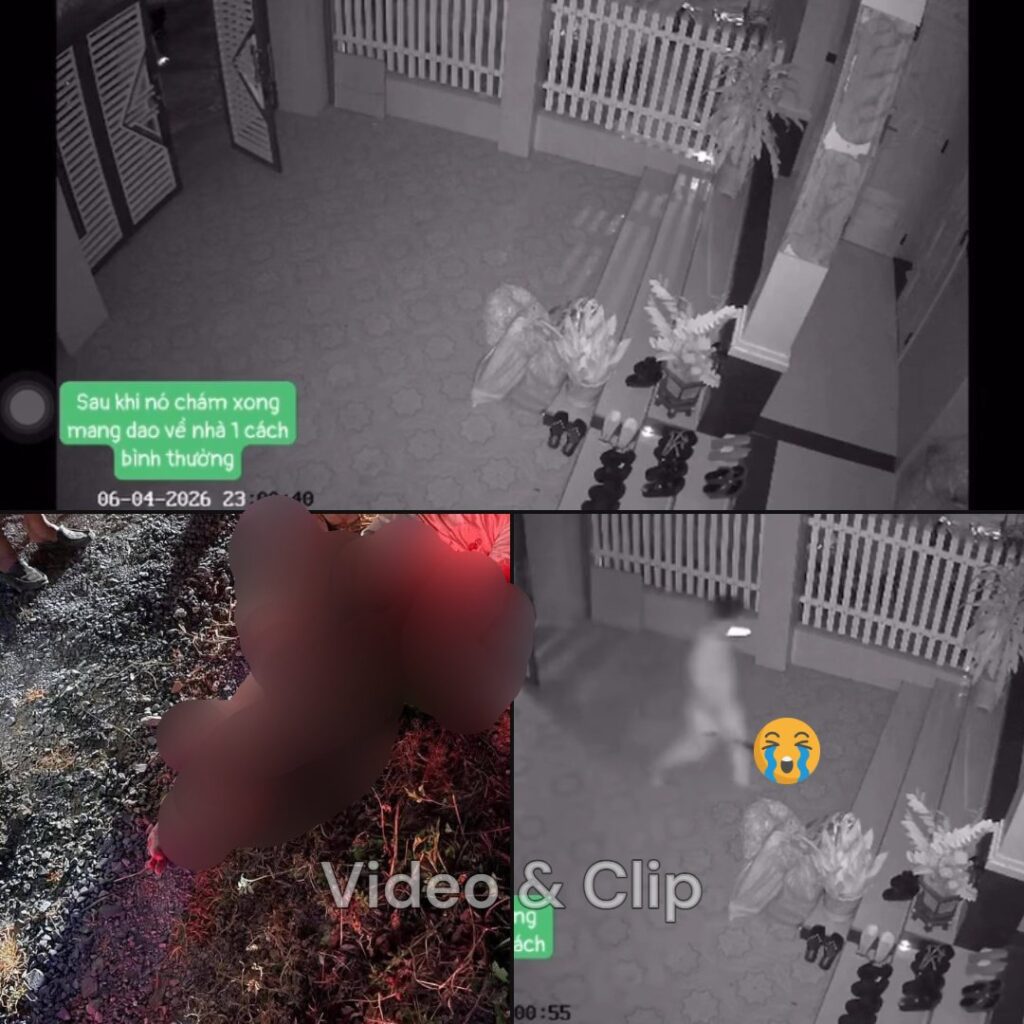 Toàn cảnh sự việc nhóm đối tượng