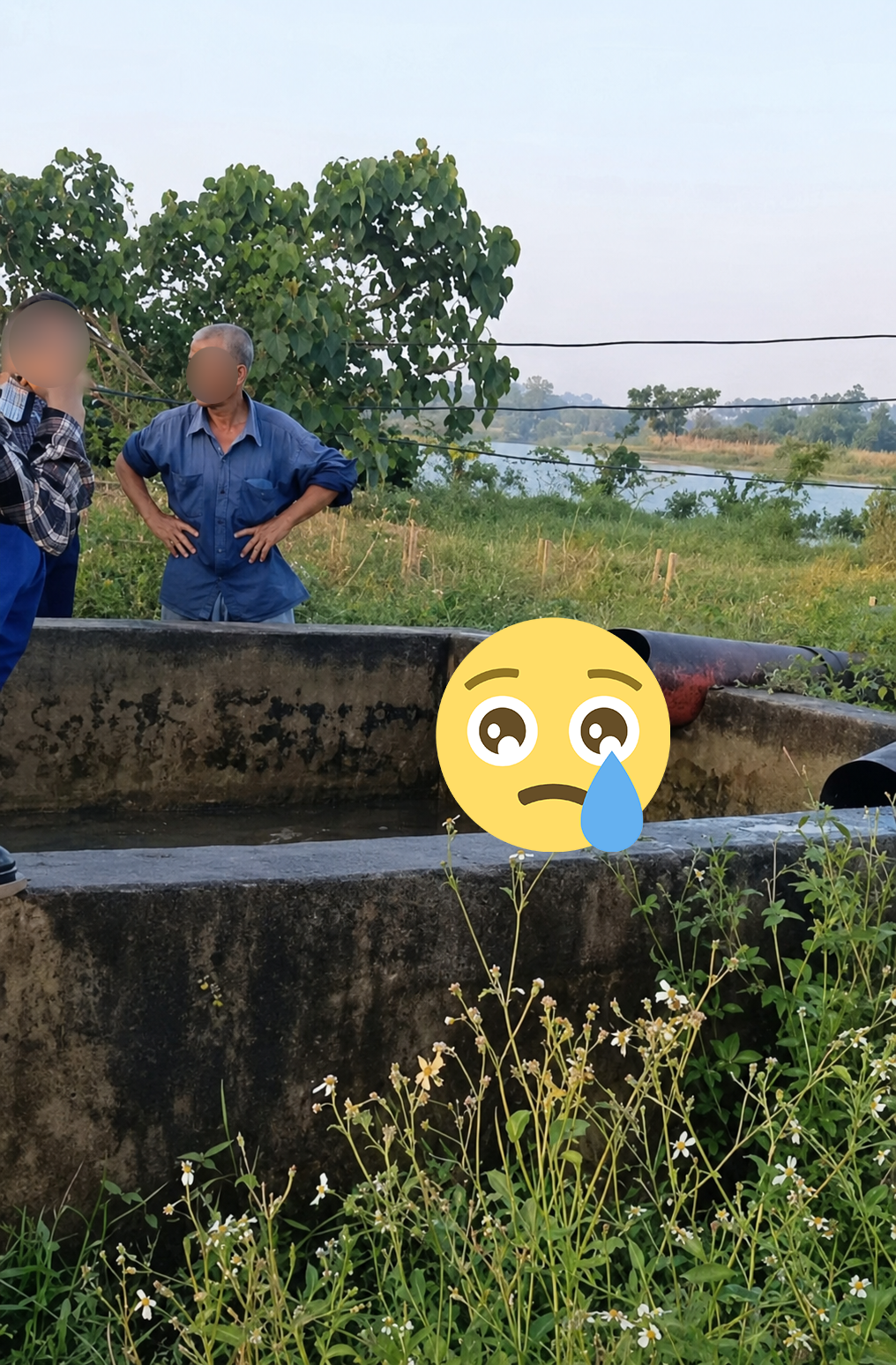 Vụ việc th/ương t/âm tại Bạch Ngọc – Nghệ An