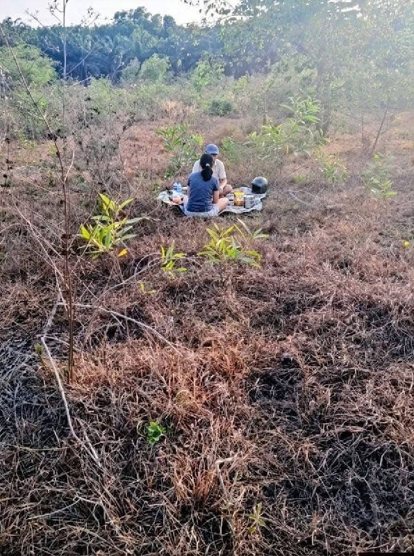 Tết thiếu nhi nhà người ta, bình yên quá
