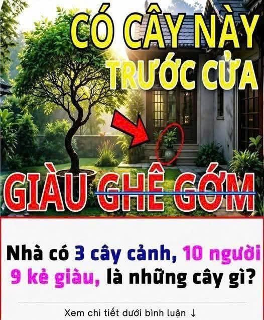 “Nhà có 3 cây này, 10 người 9 kẻ giàu” – Đó là cây gì?