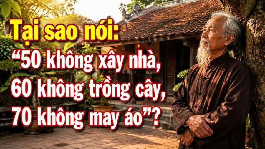 ’50 không xây nhà, 60 không tɾồng cây, 70 không mɑy áo’? – Blog